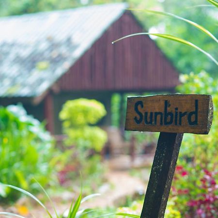 Kibale Forest Camp By Nature Lodges Ltd Kyonjojo Eksteriør billede