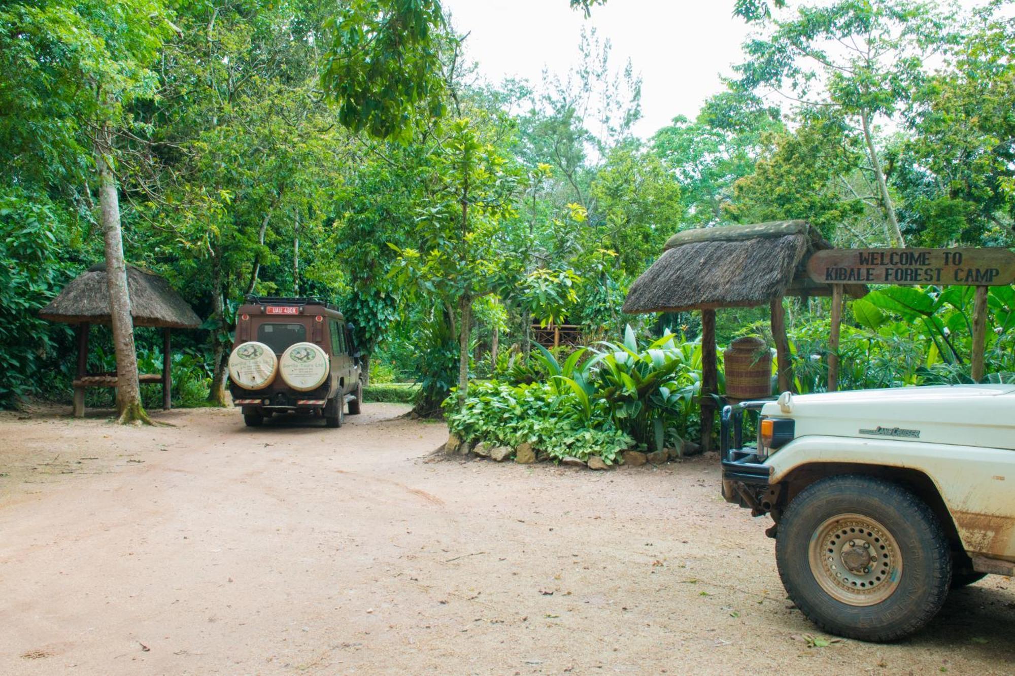 Kibale Forest Camp By Nature Lodges Ltd Kyonjojo Eksteriør billede