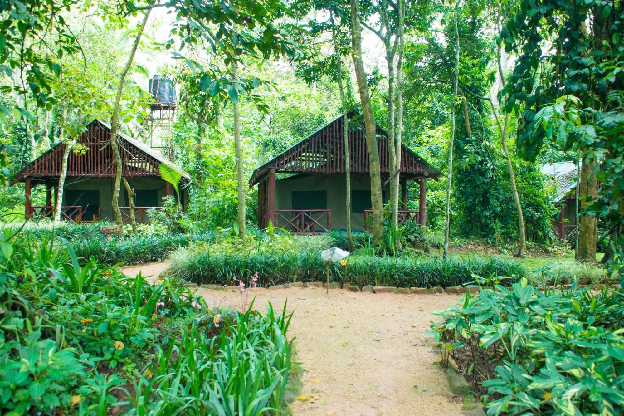 Kibale Forest Camp By Nature Lodges Ltd Kyonjojo Eksteriør billede