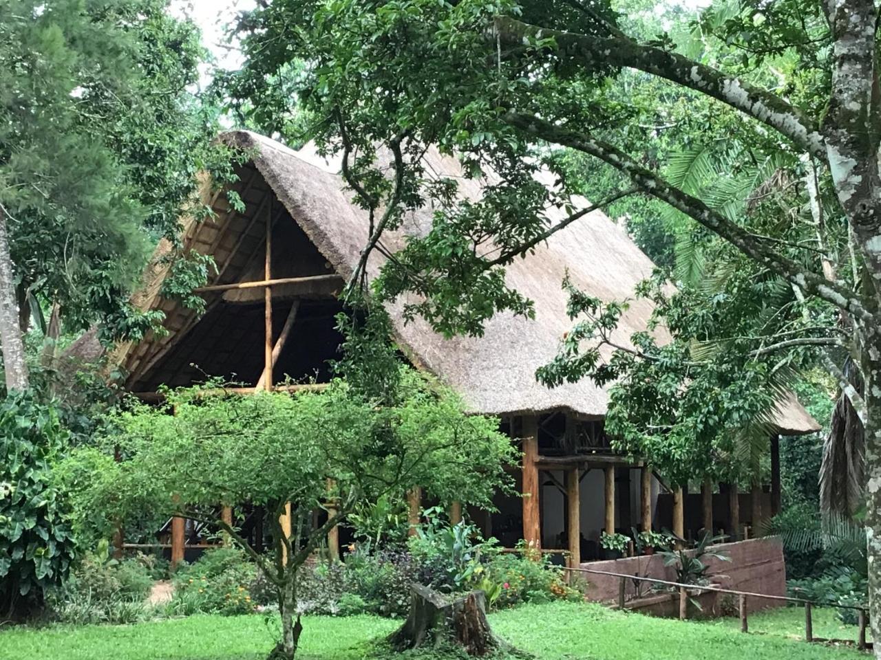 Kibale Forest Camp By Nature Lodges Ltd Kyonjojo Eksteriør billede