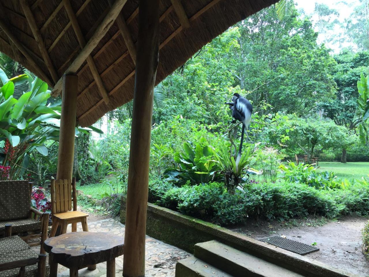 Kibale Forest Camp By Nature Lodges Ltd Kyonjojo Eksteriør billede