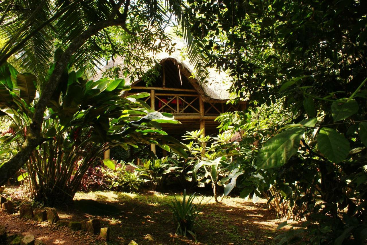 Kibale Forest Camp By Nature Lodges Ltd Kyonjojo Eksteriør billede