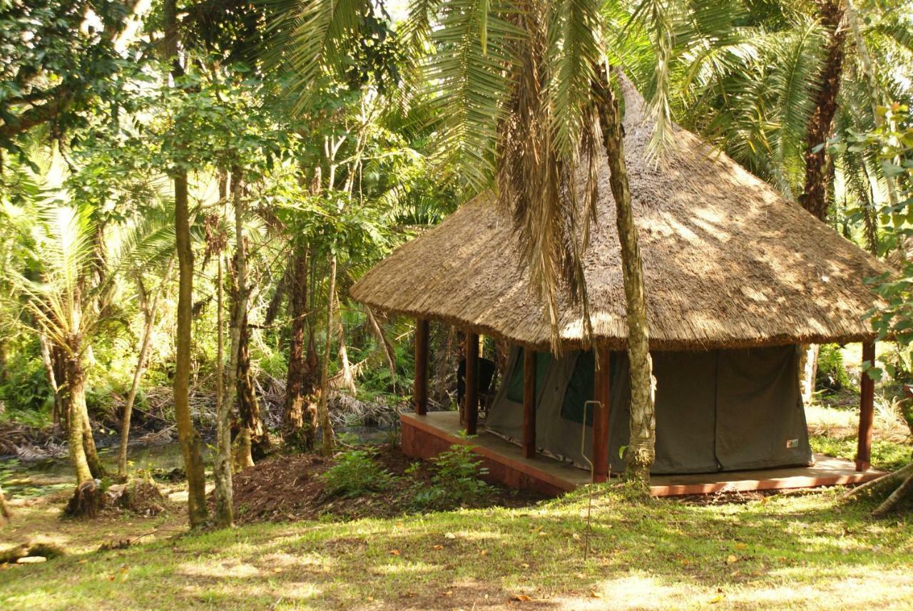 Kibale Forest Camp By Nature Lodges Ltd Kyonjojo Eksteriør billede