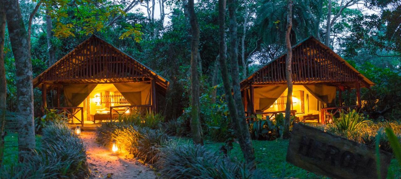 Kibale Forest Camp By Nature Lodges Ltd Kyonjojo Eksteriør billede