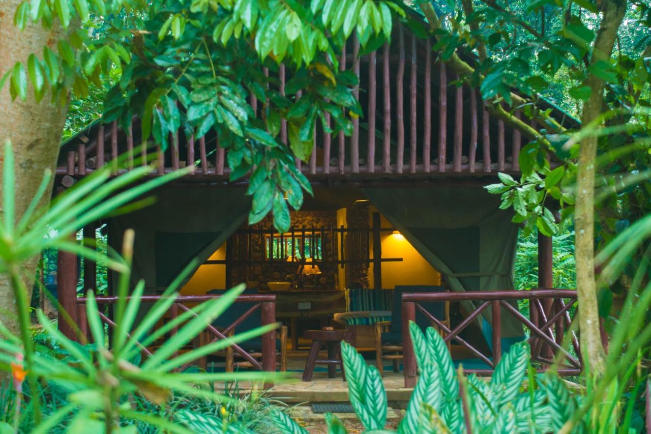 Kibale Forest Camp By Nature Lodges Ltd Kyonjojo Eksteriør billede