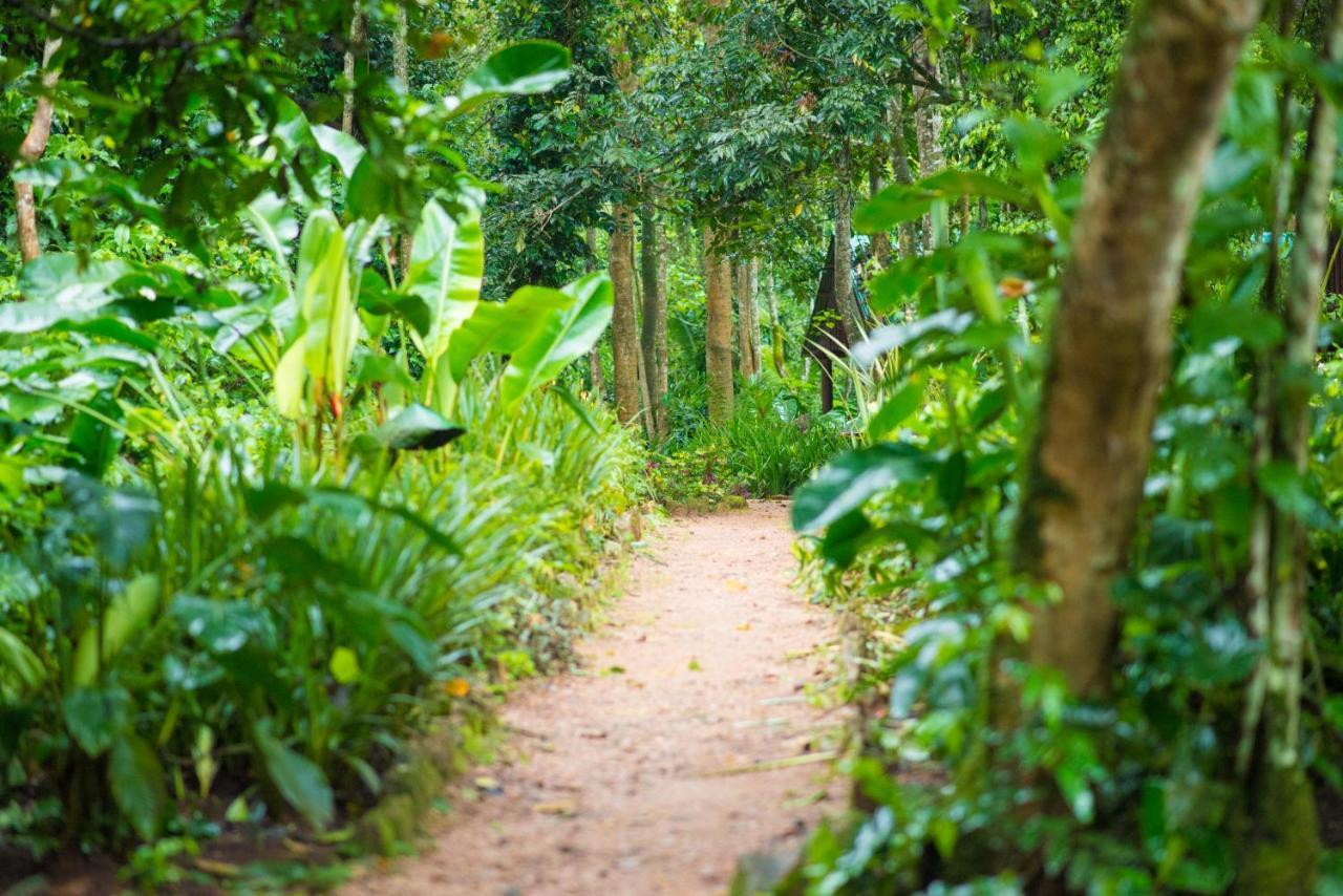 Kibale Forest Camp By Nature Lodges Ltd Kyonjojo Eksteriør billede