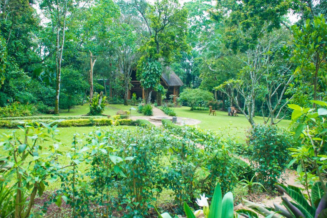 Kibale Forest Camp By Nature Lodges Ltd Kyonjojo Eksteriør billede