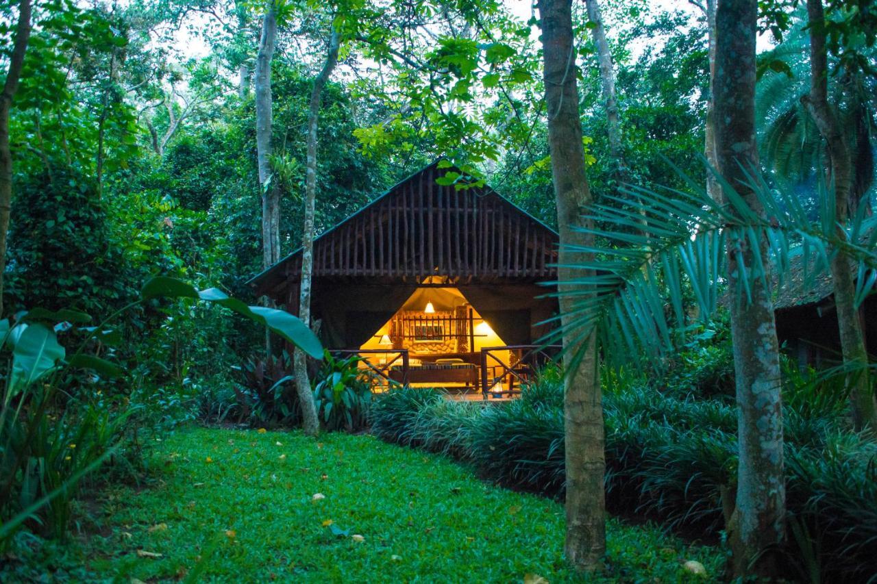 Kibale Forest Camp By Nature Lodges Ltd Kyonjojo Eksteriør billede