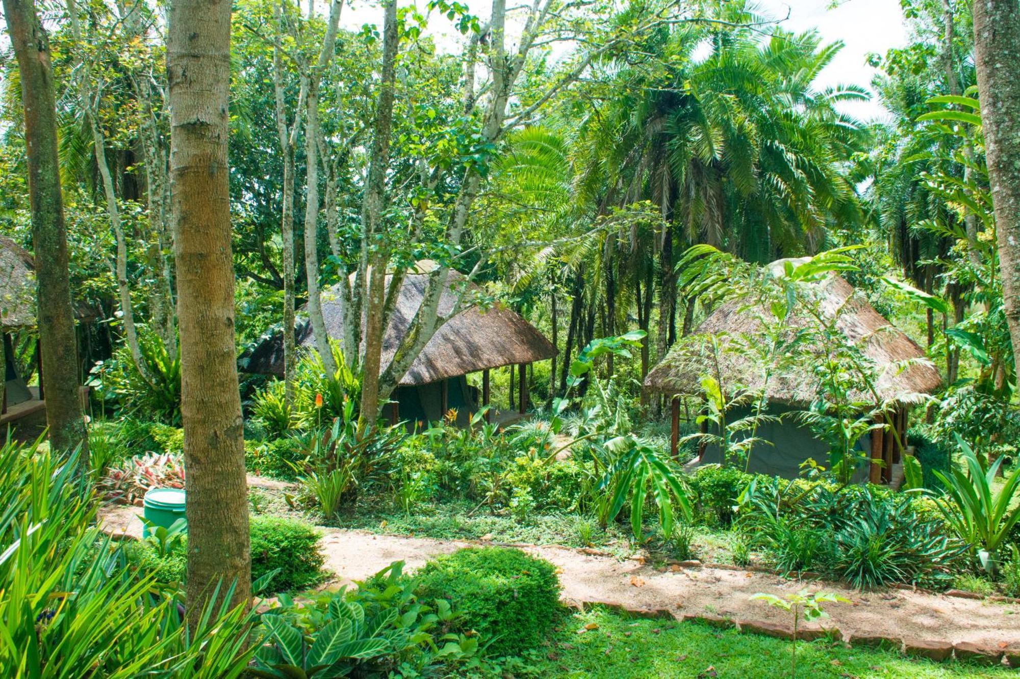 Kibale Forest Camp By Nature Lodges Ltd Kyonjojo Eksteriør billede