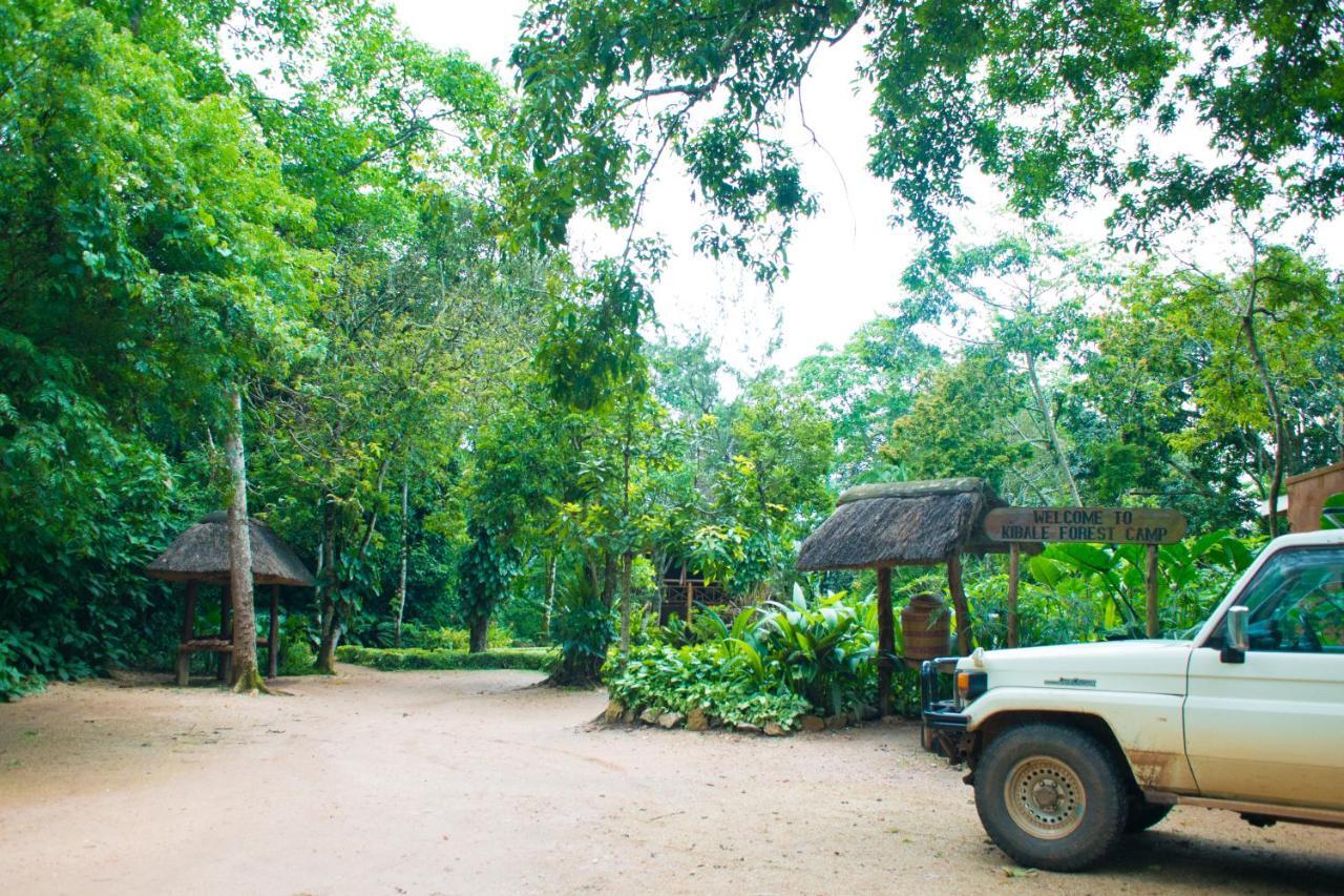 Kibale Forest Camp By Nature Lodges Ltd Kyonjojo Eksteriør billede